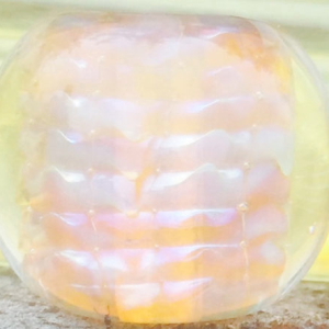 30cm (19 Gramm) Phoebe (4-6 mm)